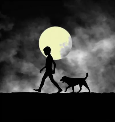 Que dire de ce chien qui m'est très fidèle et qui est toujours avec moi ?