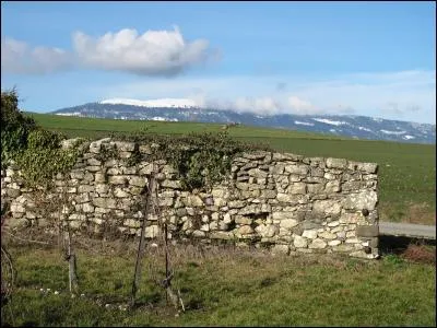 Un mur orbe est un mur :