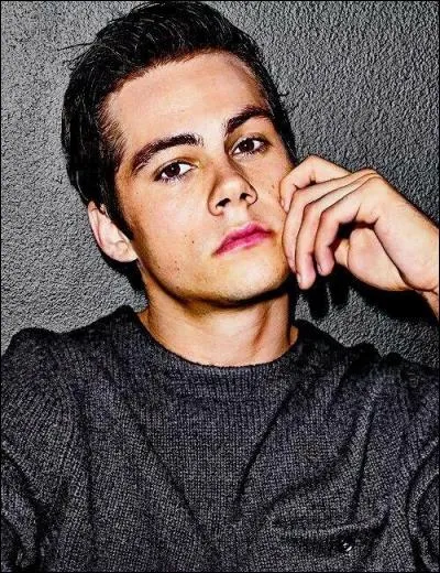 Sur quel tournage Dylan a-t-il eu un grave accident ?