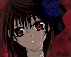 Quiz Vampire knight
