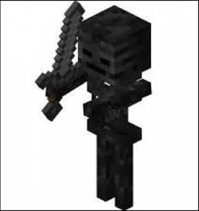 Comment s'appelle ce monstre ?