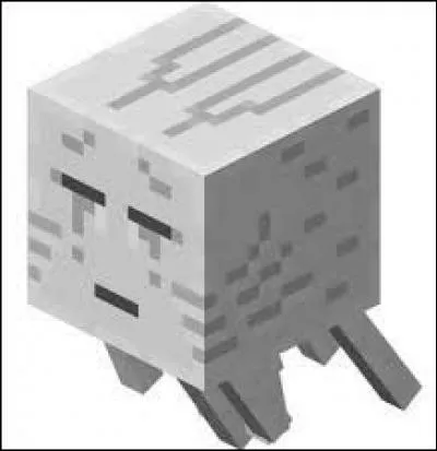 Comment s'appelle ce monstre ?