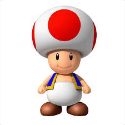 Que veut dire Toad (nom d'un personnage dans "Mario") ?