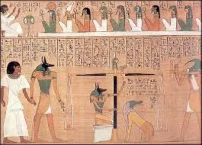 Dans la langue égyptienne, quel terme désigne le "cur" au sens propre ?