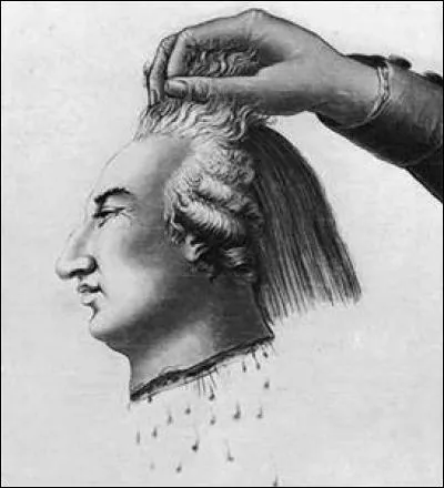 Louis XVI a été guillotiné. (image choquante)