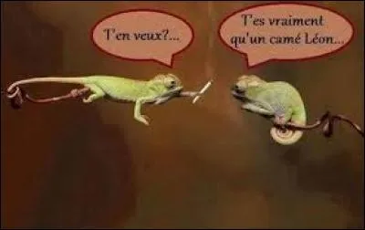 En 2018, Quizz biz va être racheté par Google !