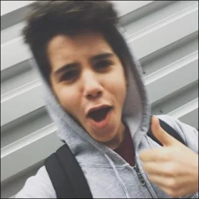 Quelle est sa chanteuse préférée ?