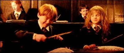 À qui Hermione dit-elle "Stop stop stop ! Tu vas finir par crever un il a quelqu'un, et d'abord c'est Leviosa pas Leviosaaaaa" ?