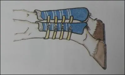 Que protège cette paire de guêtres ?