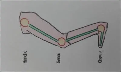 Les aides se complètent :