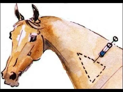 Quelles vaccinations sont obligatoires