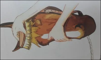 Quels sont les principaux soins périodiques obligatoires ?