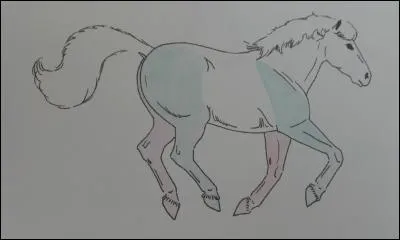 Quel est le mécanisme du galop à droite ?