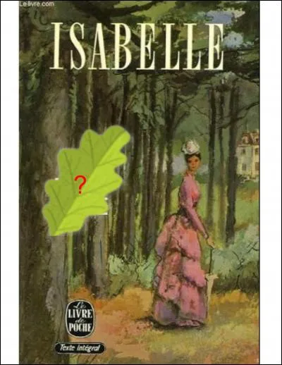 Quel est l'auteur de ce roman intitulé « Isabelle » ?