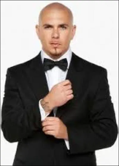 Avec quel chanteur le rappeur Pitbull partage-t-il en 2015 un duo sur la chanson "Fun" ?