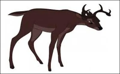 Dans "Bambi" (1948), quel est le nom du jeune cerf contre qui Bambi se bat pour gagner le cur de la biche Féline ?