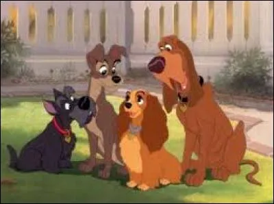 Dans "La Belle et le Clochard" (1955), comment s'appellent les deux fidèles amis et voisins de Lady ?