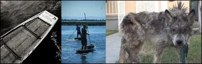 Petit dialogue : 
- Si tu pars à la chasse, n'utilise pas mon « nègue-chien », prend le mien ! 
- Je n'ai pas besoin de chien, je prendrais mon « nègue-fol » ! 
A votre avis, que sont ces objets, un « nègue-chien » et un « nègue-fol » ?