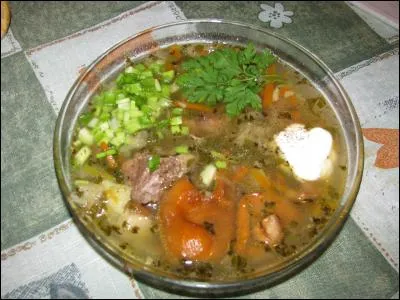 Le chtchi est une soupe dont le principal ingrédient est le chou. C'est une entrée traditionnelle depuis plus de 1 000 ans. Le chou utilisé est généralement celui de la choucroute auquel on ajoute de la viande. La variante la plus riche comprend du chou, de la viande (de manière plus rare du poisson ou des champignons), des carottes, des condiments. Dans quel pays connait-il un grand succès ?