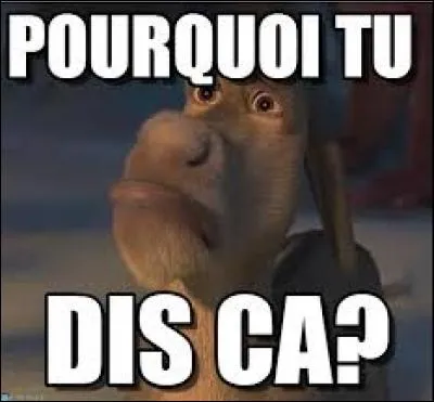 Pourquoi l'eau monte-t-elle dans un verre quand on y met un caillou ?