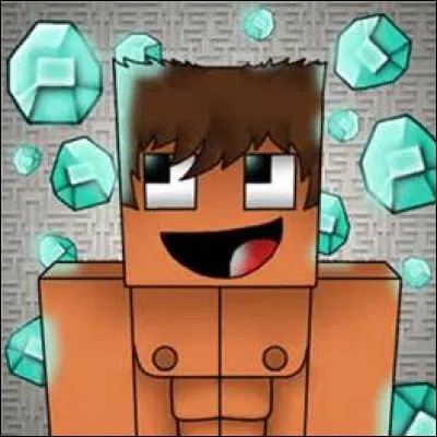 Ce personnage est un personnage de Minecraft.
