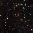 Les plantes, les constellations, les toiles se trouvent dans...