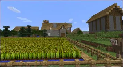 Dans "Minecraft", on peut cultiver :
