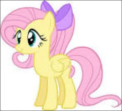 Quel est ce poney ? Quelle est sa passion/sa personnalité ?