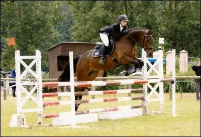 Quand on fait du saut d'obstacle on se met dans la position arabe
ou en suspension ?