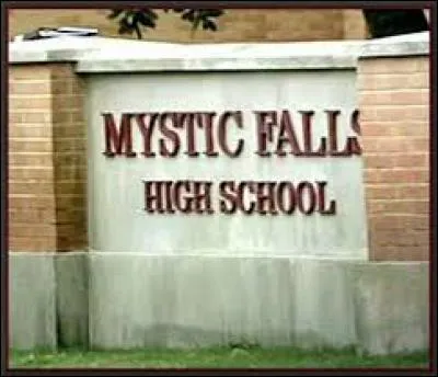 Comment Elena et Stefan se sont-ils rencontrés au lycée ?