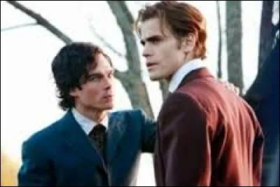 En quelle année les frères Salvatore ont-ils été transformés ?