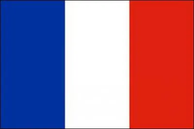 Qui a été le capitaine de l'équipe de France et est maintenant le sélectionneur de l'équipe ?