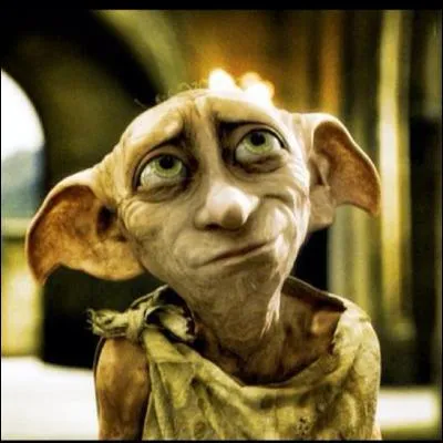 Comment Dobby est-il mort ?
