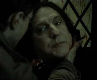 Quand Voldemort a cru que Rogue était le propriétaire de la baguette de Sureau, il l'a injustement tué. Avant de mourir, qu'est-ce que Rogue a donné à Harry ?