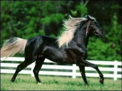 Quel est le nom de cette robe ?