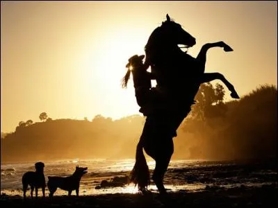 Quel est le titre du livre de Michael Morpurgo ?