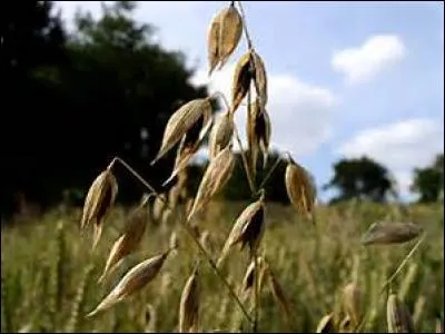 Comme on ne reçoit pas toujours le salaire dû à son travail, même si on s'échine courageusement alors à quoi ressemble-t-on ?