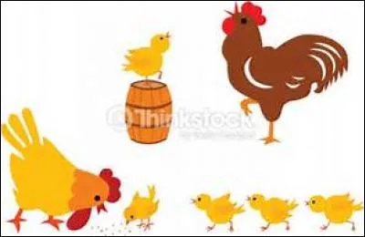 Si vous êtes seulement un tantinet plus élégant et soucieux de votre ligne, que faites-vous ?