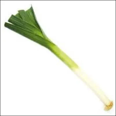 Quel est ce légume ?