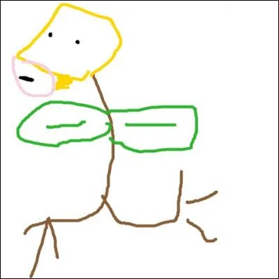 Quel est ce Pokémon ?