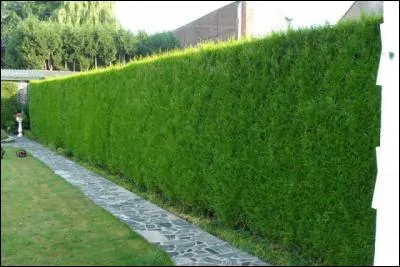 Le mot commence par : casse