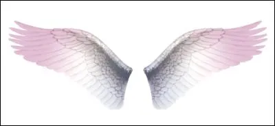 Le mot commence par : casse