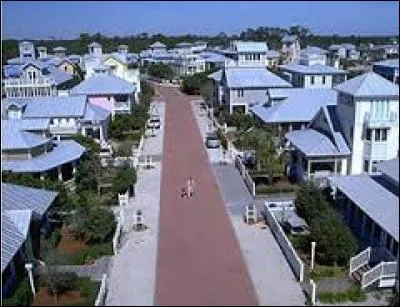 Comment s'appelle la ville créée pour les besoins du Truman Show ?