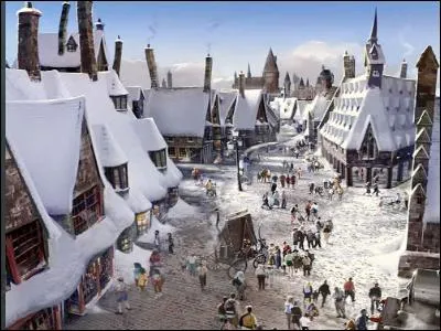 Qui s'est déjà promené sur les trottoirs de Pré-au-Lard ?