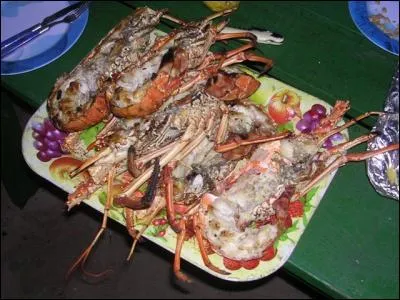 L'île de Saint-Martin est un territoire situé dans les Caraïbes. A quel pays cette île est-elle rattachée ?