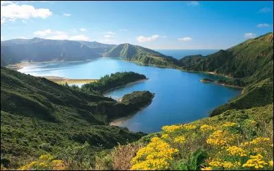 Les Açores sont un groupe d'îles relativement isolées au milieu de l'océan Atlantique nord. Elles appartiennent à :