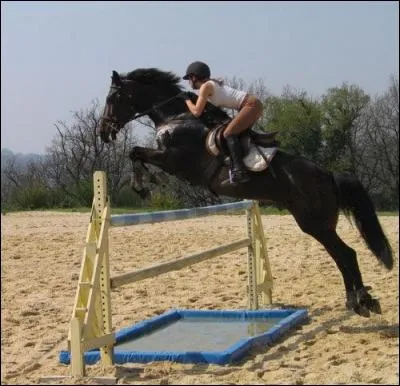 Comment se nomme cet obstacle ?