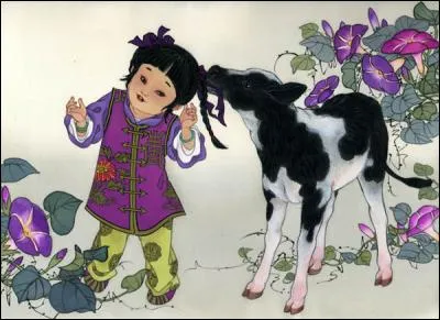 Comment se nomme le petit de la vache, âgé de 14 mois, qui a été castré ?