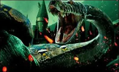 Comment s'appelle le serpent de Lord Voldemort ?