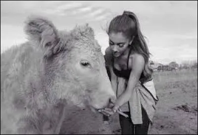 Quel est son animal pr&eacute;f&eacute;r&eacute; ?